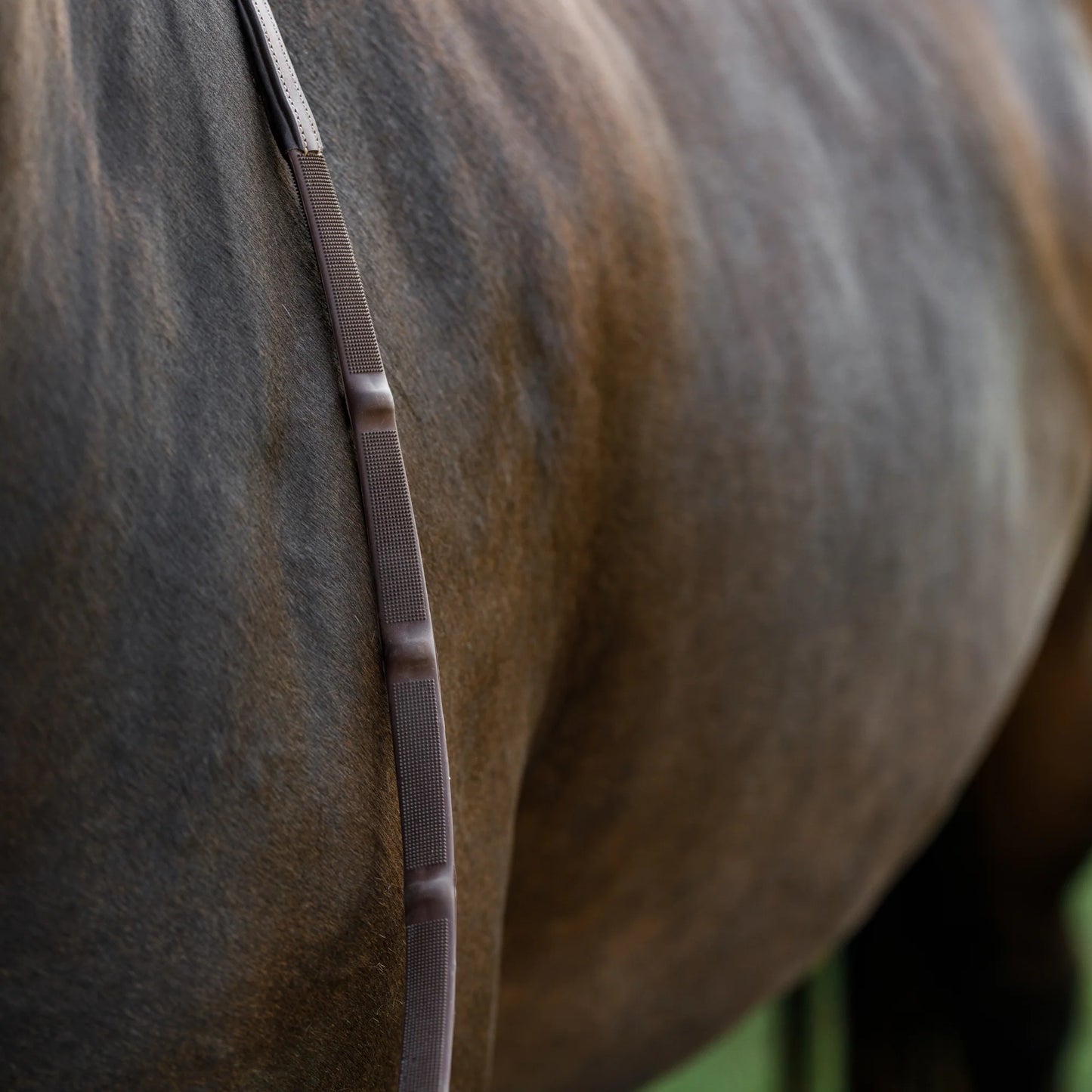 Soft reins