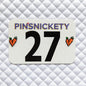 Pinsnickety