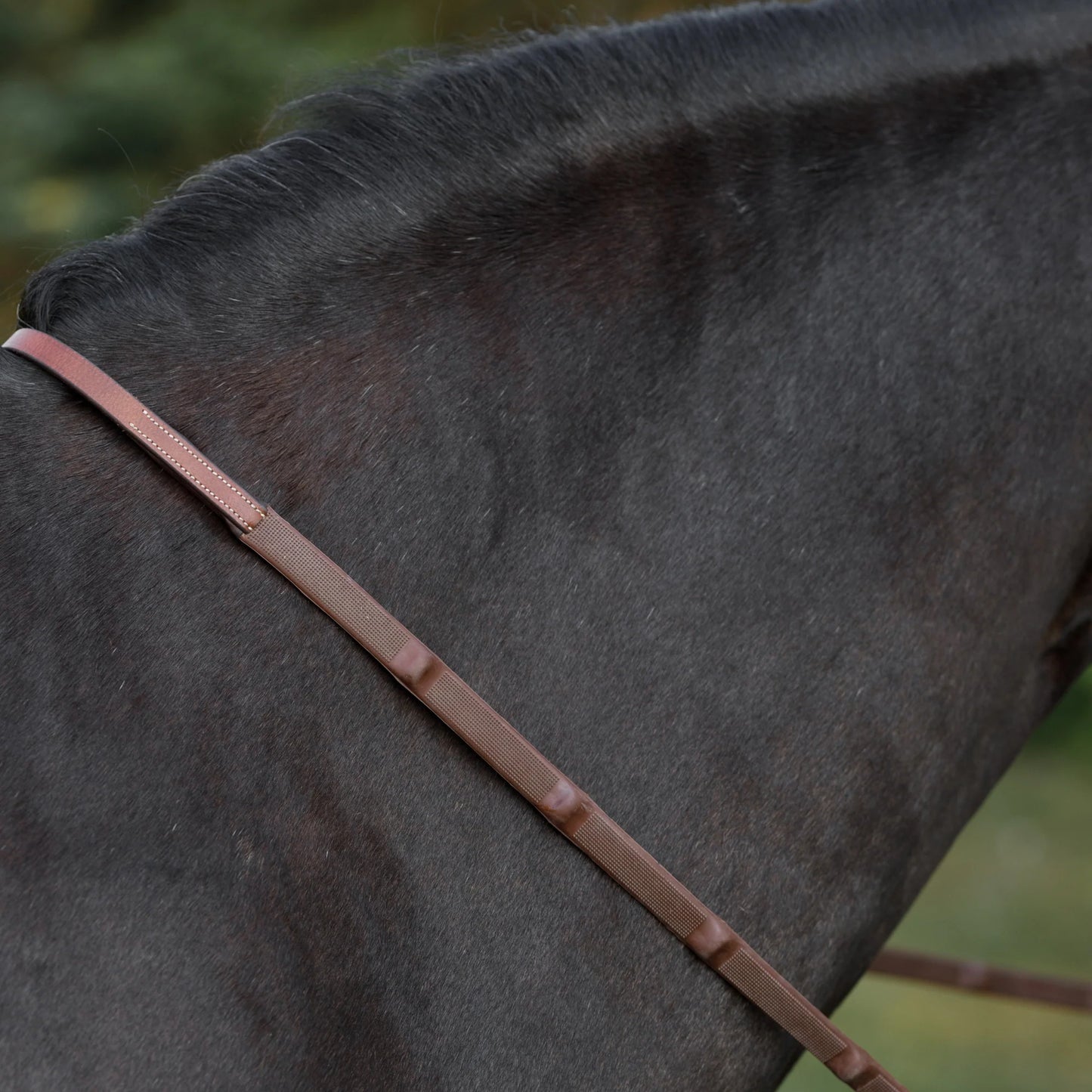 Soft reins