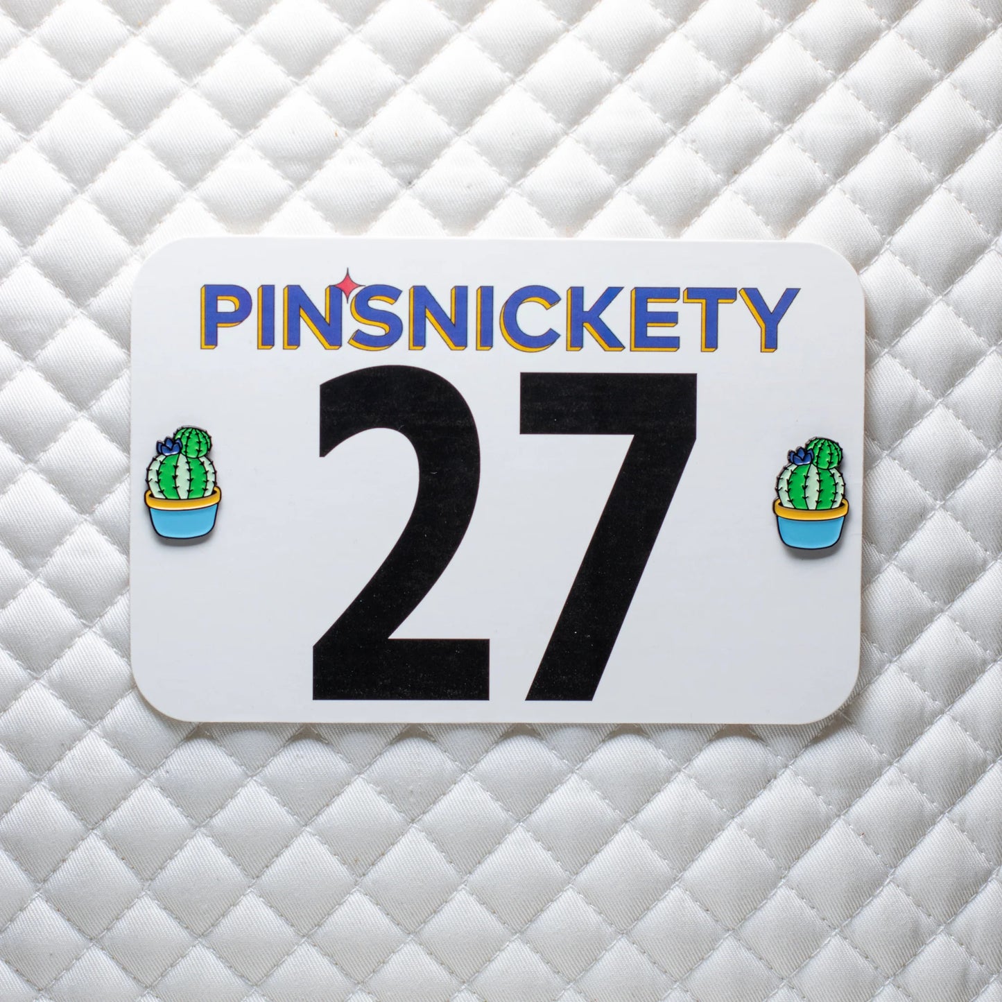 Pinsnickety