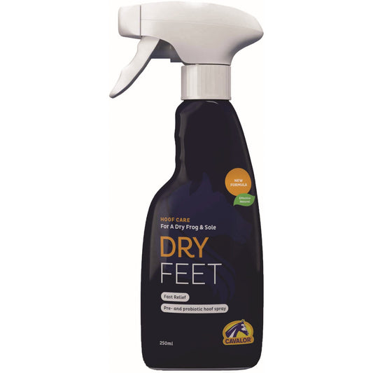 Dry Feet