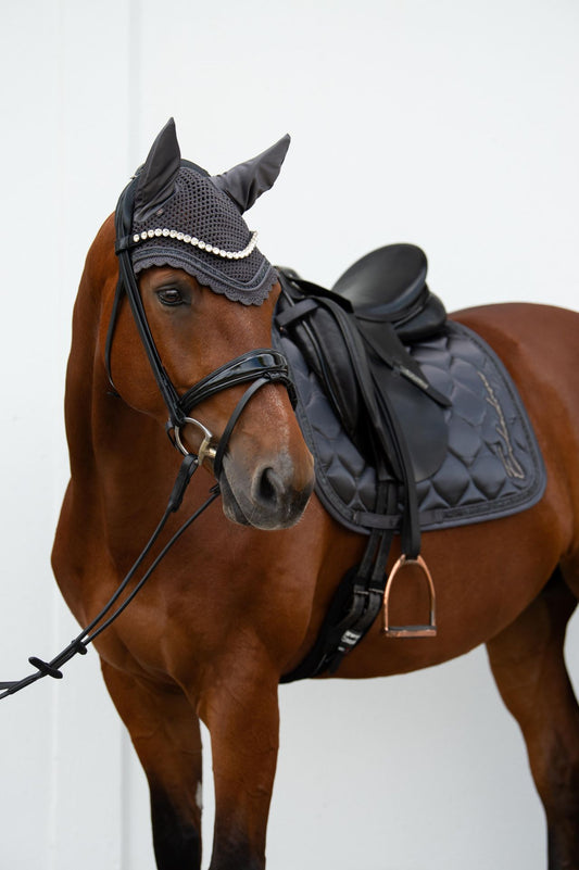Satiné - Dressage 