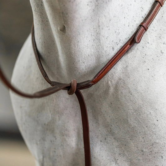 Standing Martingale