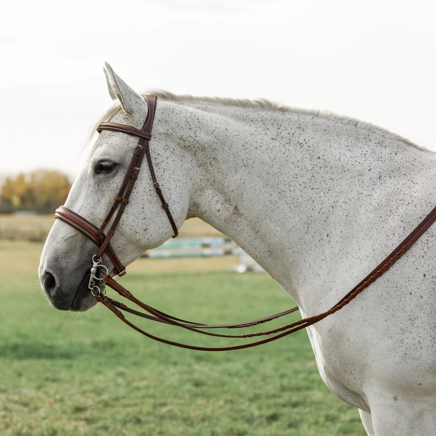 Hunter Bridle