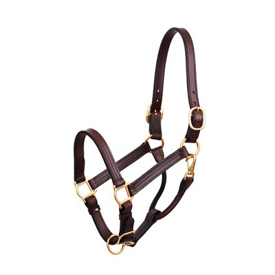Leather Halter 1"