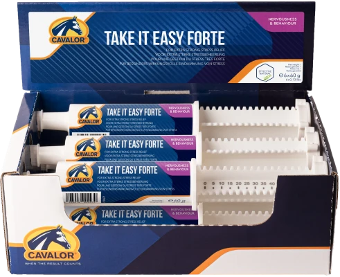 Take it easy - Forte