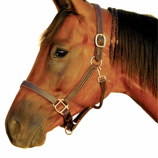 Leather Halter
